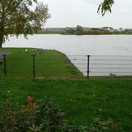IJsselmuiden De Zilveren Karper المظهر الخارجي الصورة