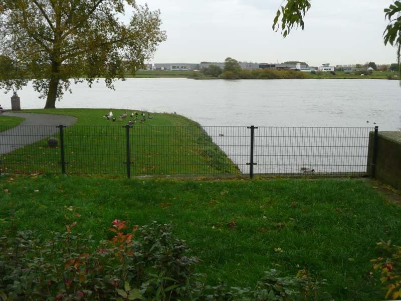 IJsselmuiden De Zilveren Karper المظهر الخارجي الصورة
